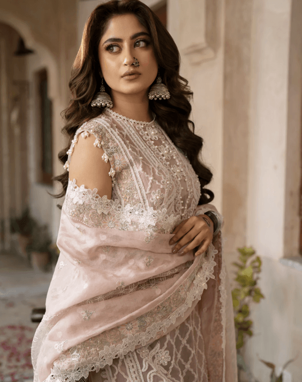 BIN ILYAS--403-B | 3 PC LUXURY LAWN - Image 3