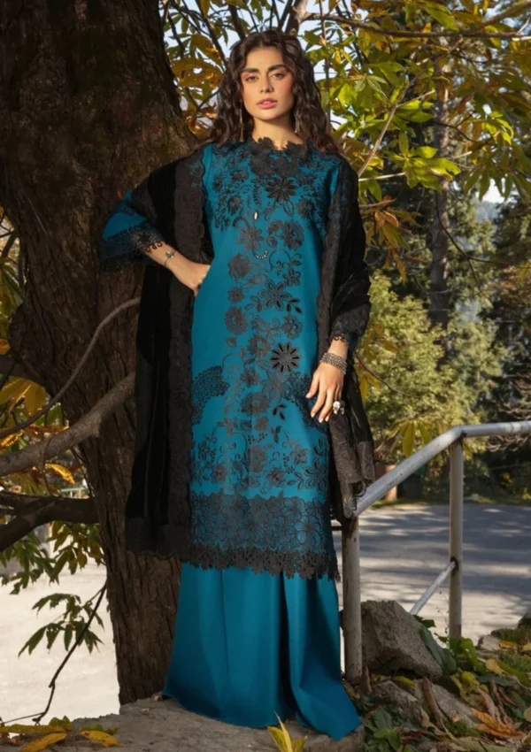 Winter Collection - Rang Rasiya - Dekh Magar Pyar Se - PARIWARSH - Image 2