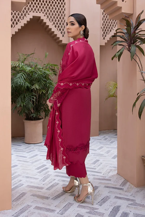Rang Rasiya Carnation Karandi`23 D#10 AERGUL - Image 3