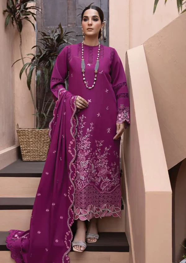 Rang Rasiya - Carnation - Winter Shawl Karandi - D#09 - Image 3